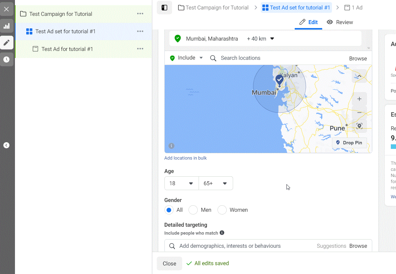 ad set settings for demographics