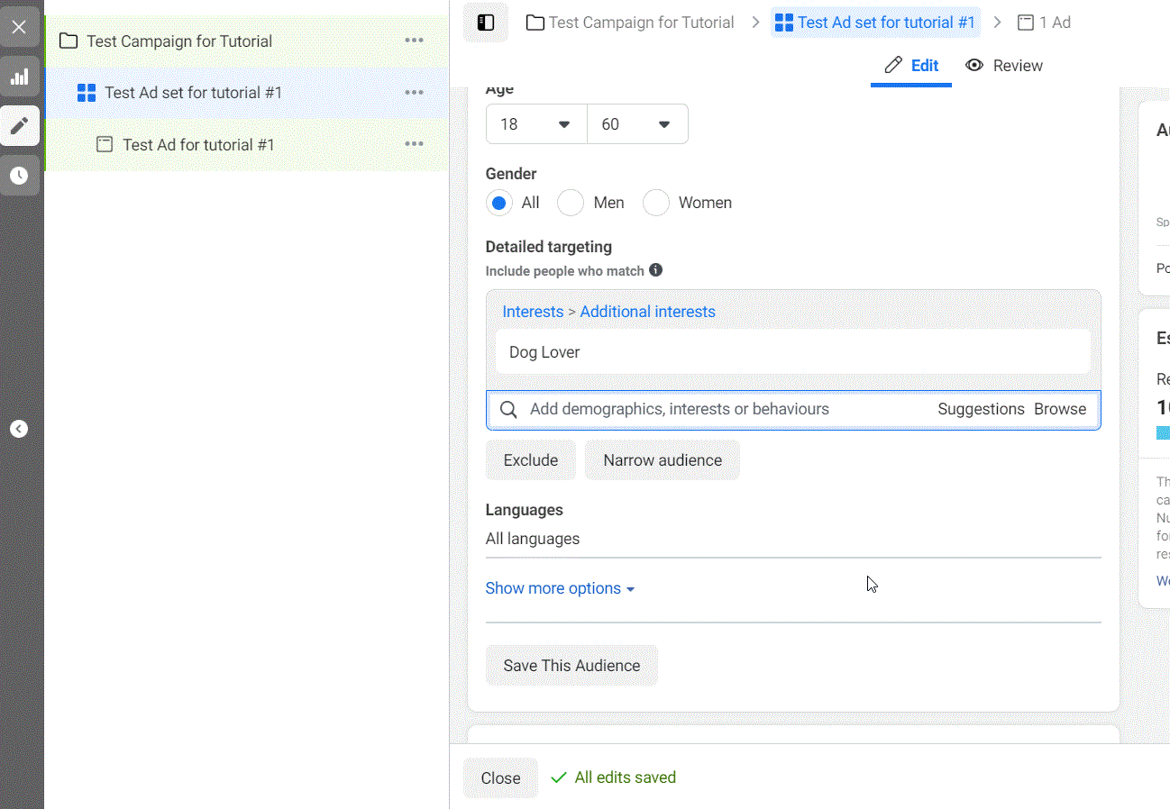 ad set settings 4 placement setting